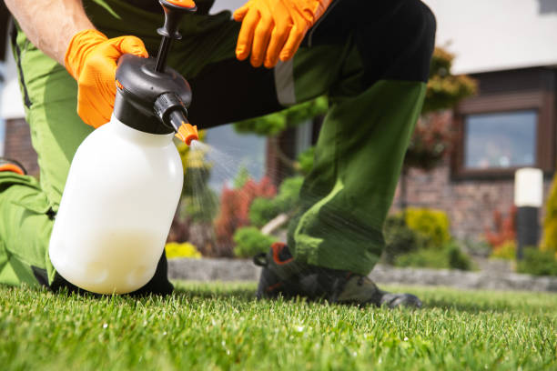 Best Pest Prevention Services  in Cherry Creek, CO