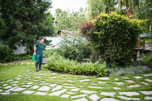 Best Wasp Removal Services  in Cherry Creek, CO