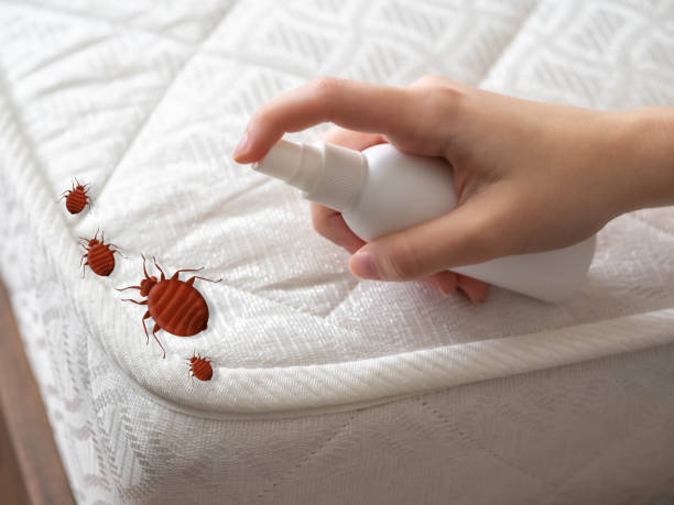 Best Pest Control for Restaurants  in Cherry Creek, CO